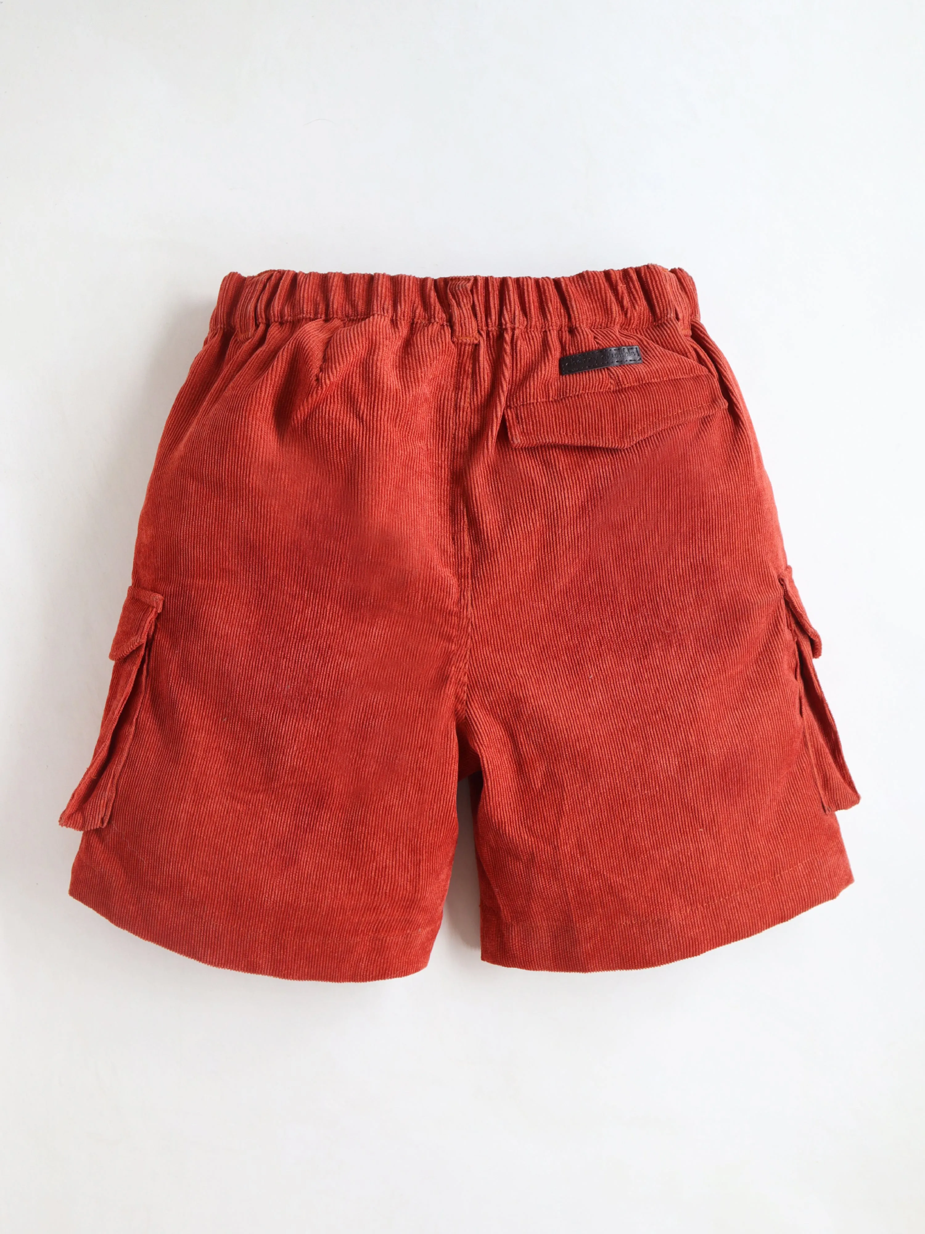 Cherry Crumble Boys Polyester Orange Self Texture Shorts