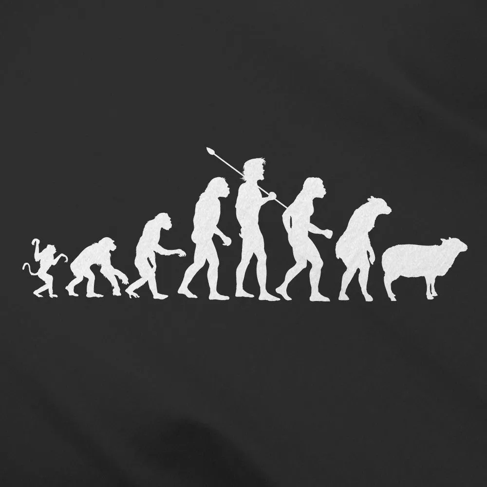 Evolution of Modern Man