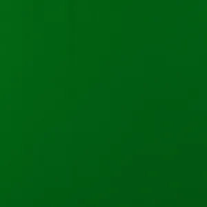 Novelty Polyester Solid - 221 - Green