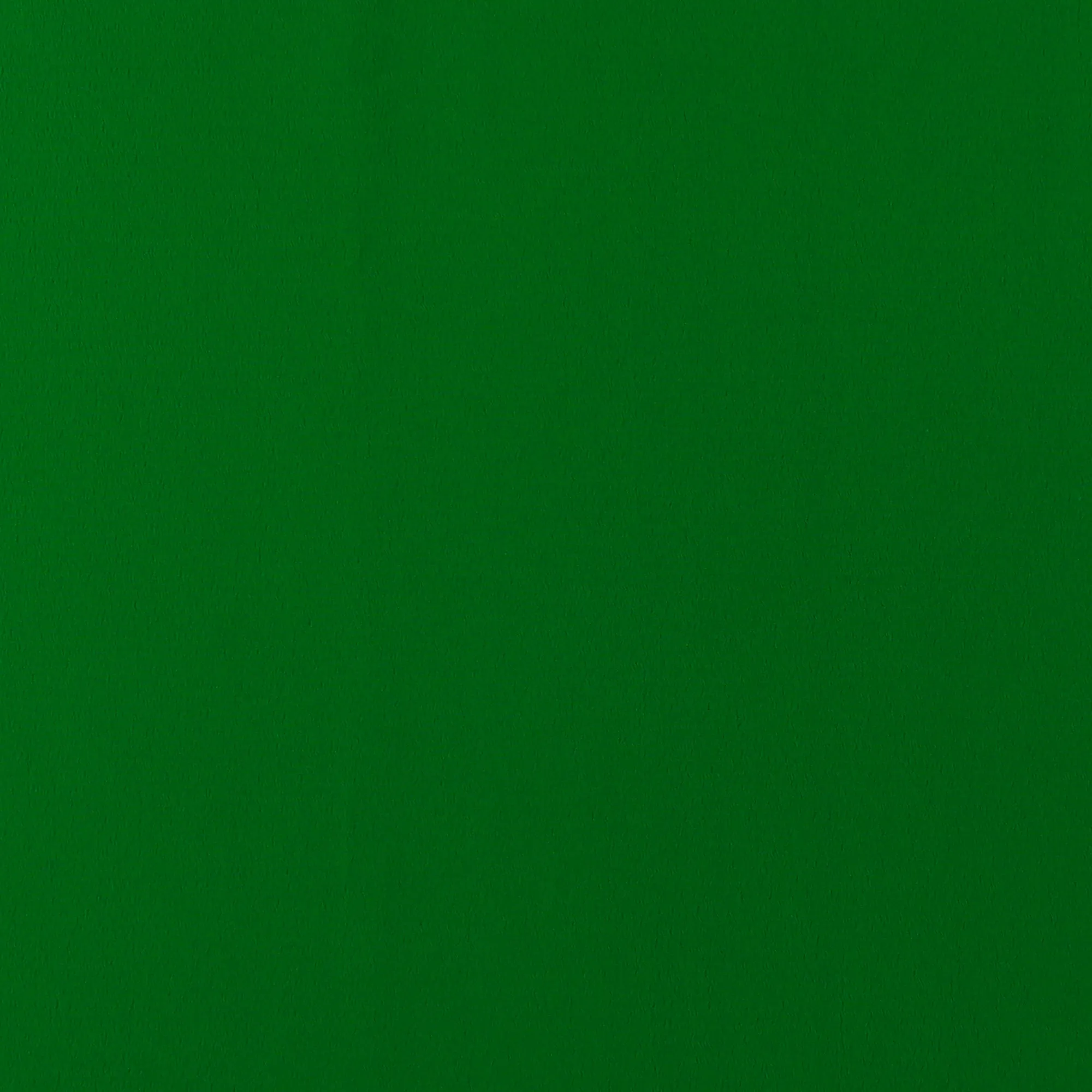 Novelty Polyester Solid - 221 - Green