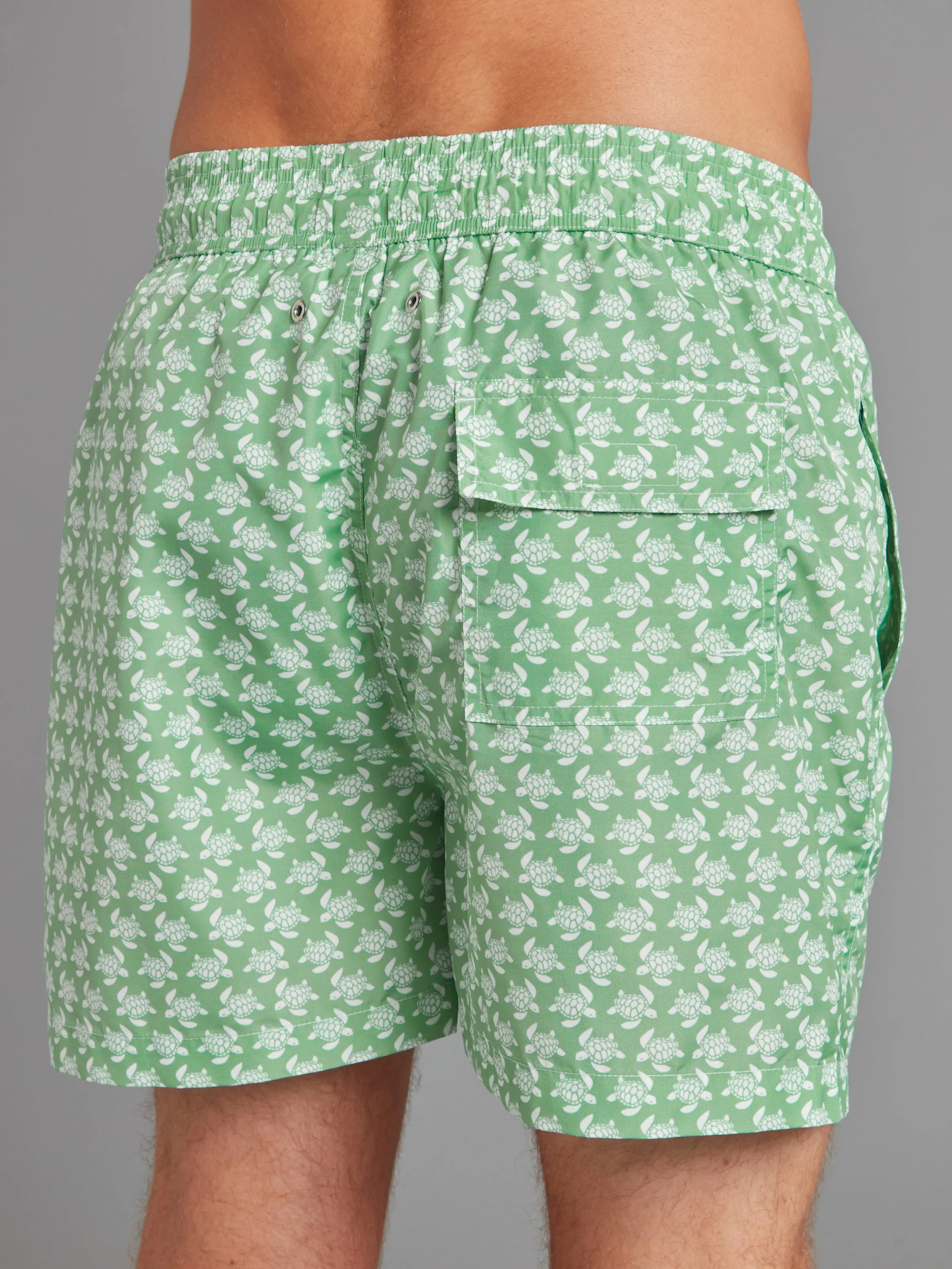 Swimming Shorts - Green Turtles