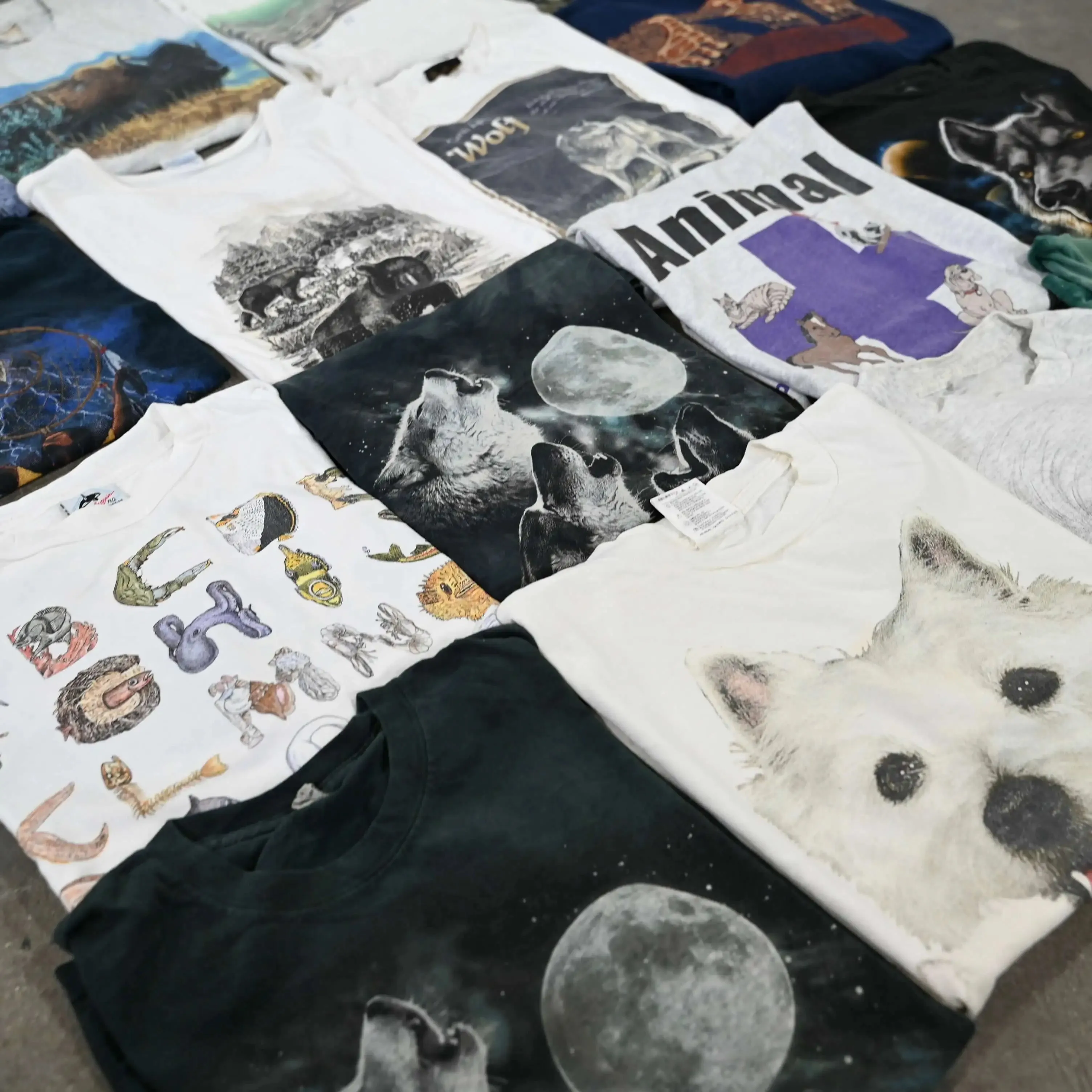 Wholesale Animal Graphic T-Shirts