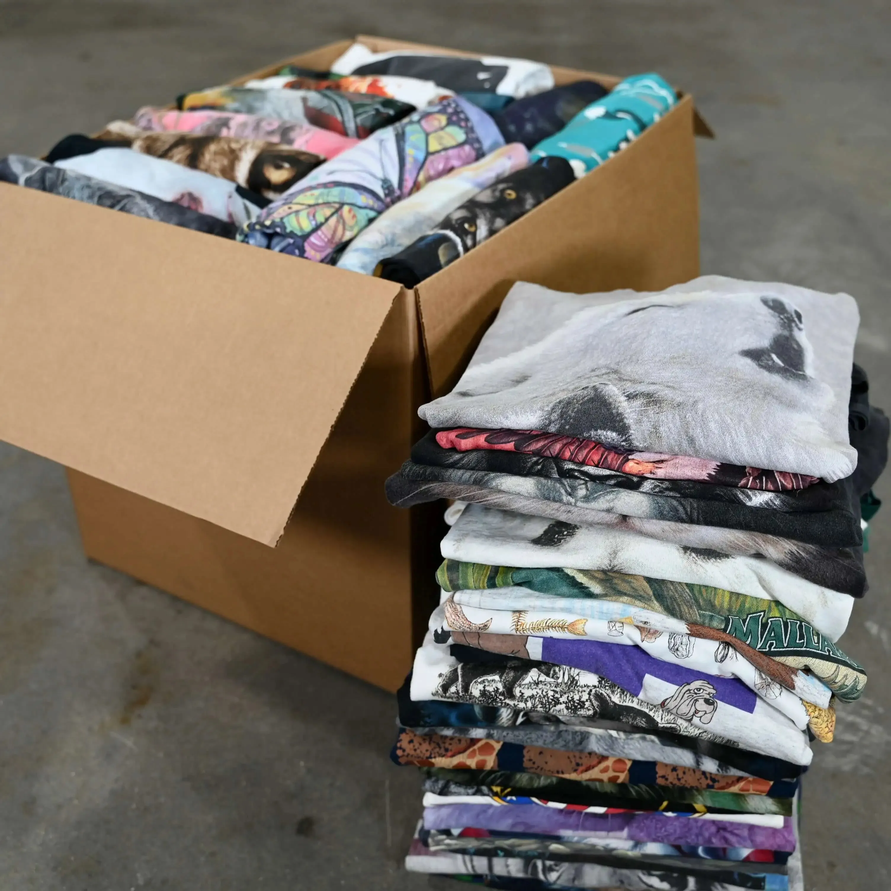 Wholesale Animal Graphic T-Shirts